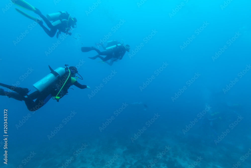 Group of divers going deep Group of divers going deep