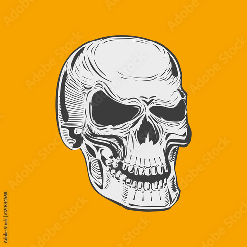 Wallpaper Mural Isolated black and white smiling human skull. Tattoo style Torontodigital.ca