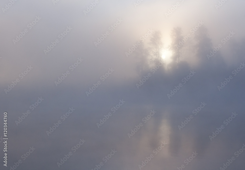 Fog Morning Trees Water Fog Morning Trees Water