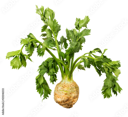 Celery root with leaves