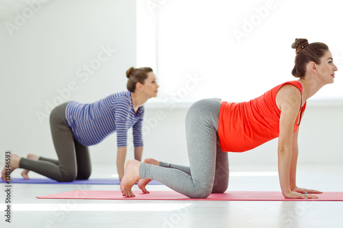 Two pregnant women making yoga