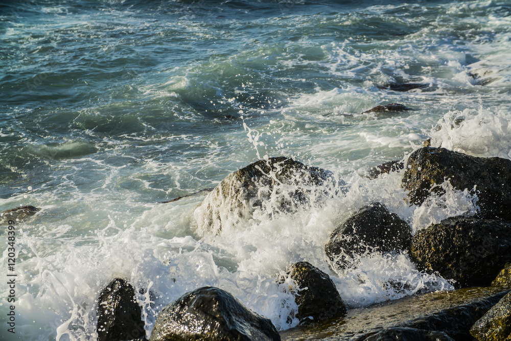 Naklejka premium surf the waves off the rocky coast, large bursts of wave