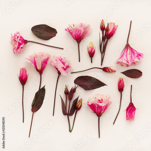 Top view of beautiful pink flowers