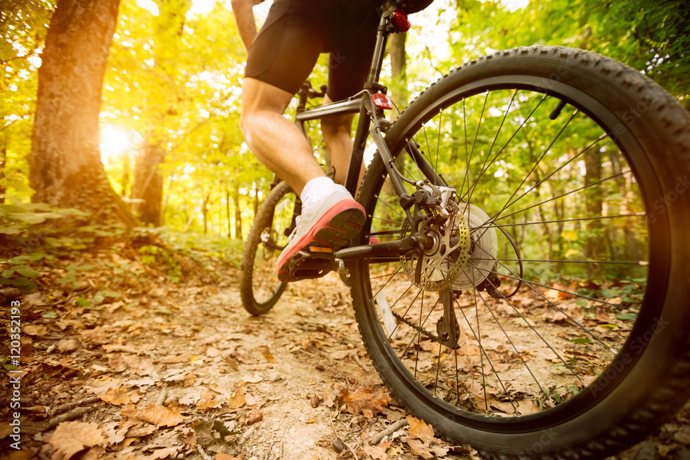 Fototapeta premium cyclist riding mountain bike