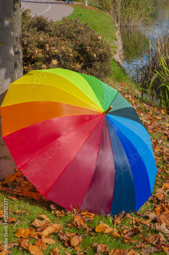 Umbrella - Autumn © daniit