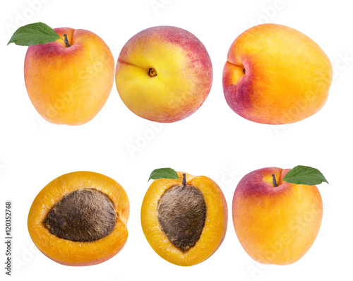 Fresh apricot on white , isolated