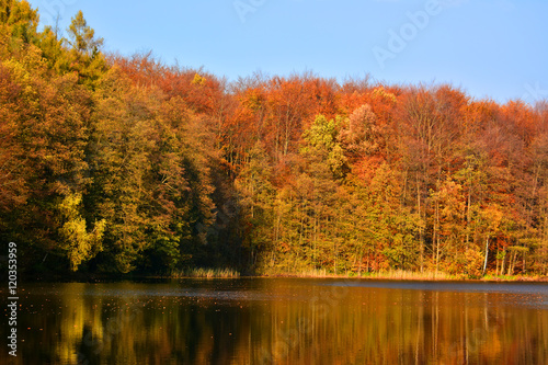 Autumn landscpe with lake