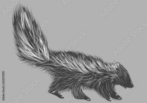 skunk