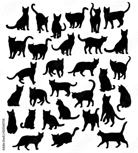 Fototapeta Naklejka Na Ścianę i Meble -  Cat Animal Silhouettes, art vector design 