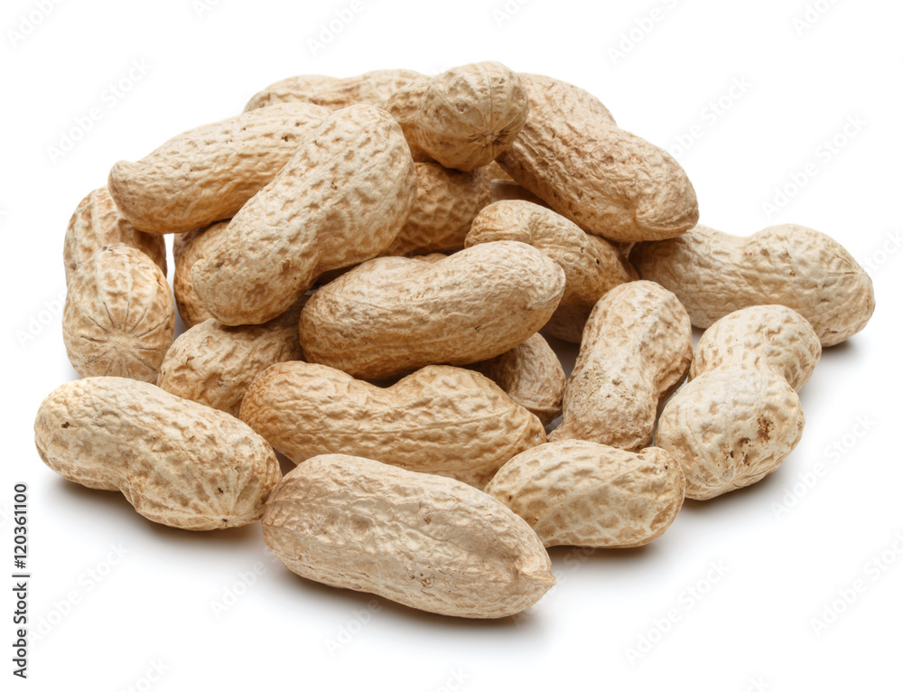 peanut pod or arachis isolated on white background cutout peanut pod or arachis isolated on white background cutout