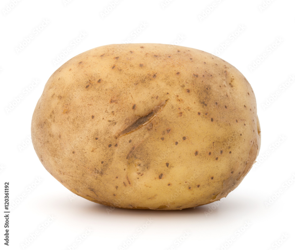 new potato tuber isolated on white background cutout