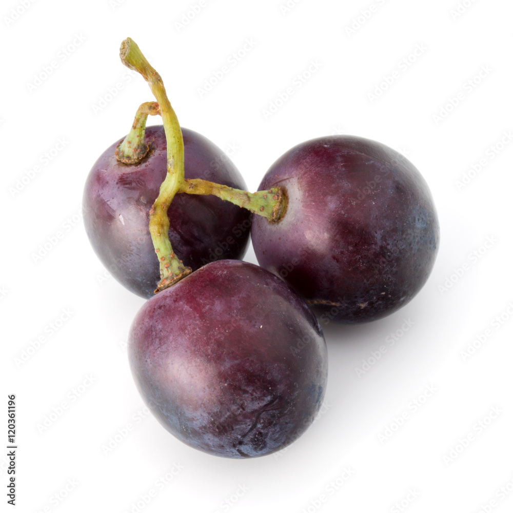 Red grape berry bunch isolated on white background cutout Red grape berry bunch isolated on white background cutout