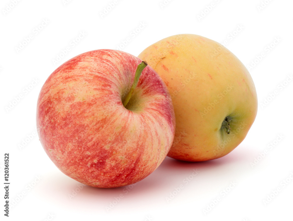 Red apple isolated on white background cutout Red apple isolated on white background cutout