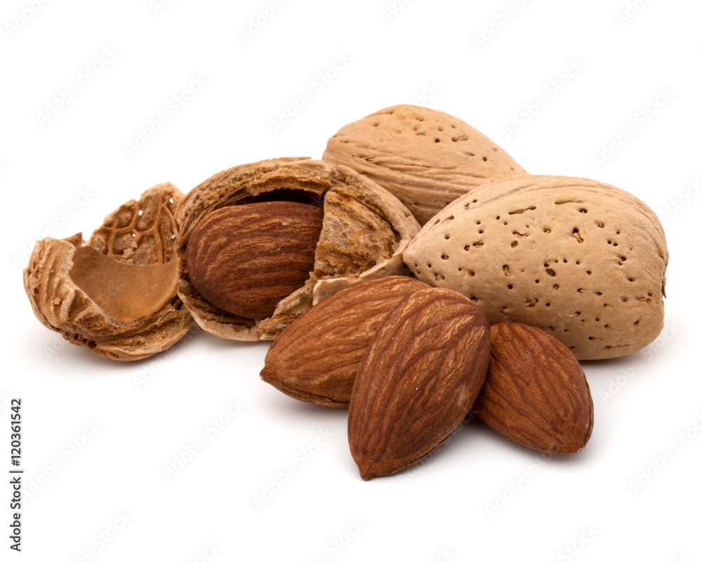 Almond nut in shell and shelled isolated on white background clo Almond nut in shell and shelled isolated on white background clo
