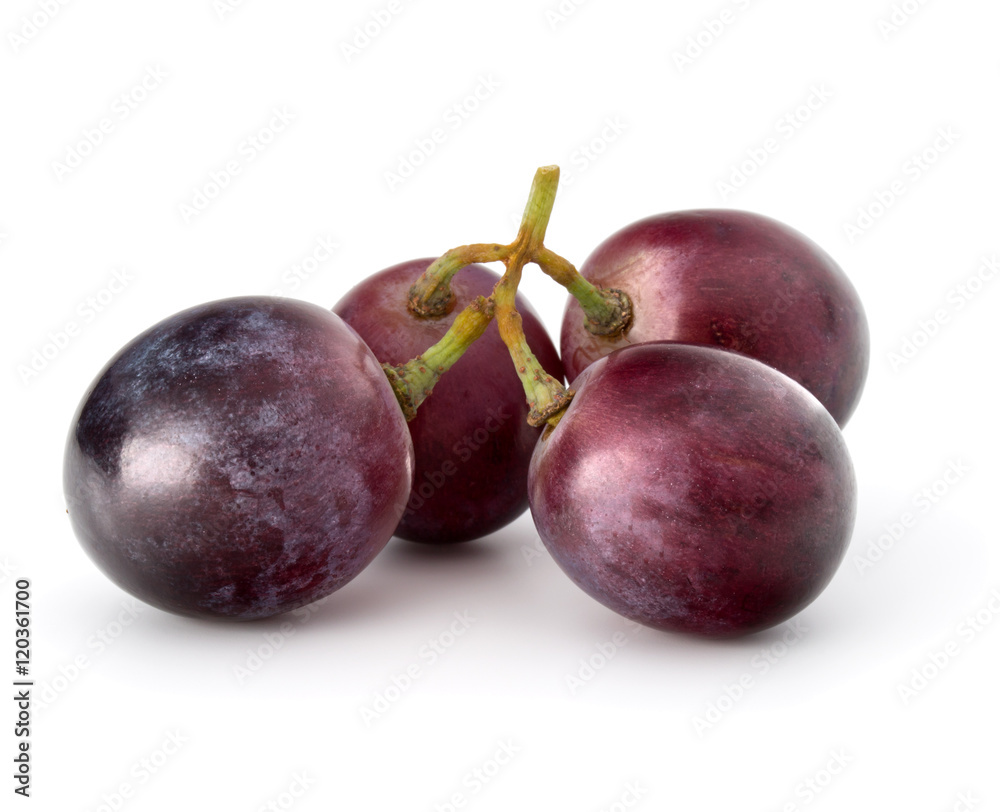 Red grape berry bunch isolated on white background cutout Red grape berry bunch isolated on white background cutout