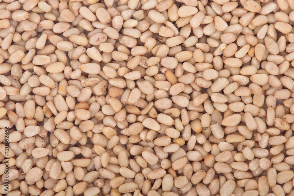 Raw organic pine nuts without shell food background