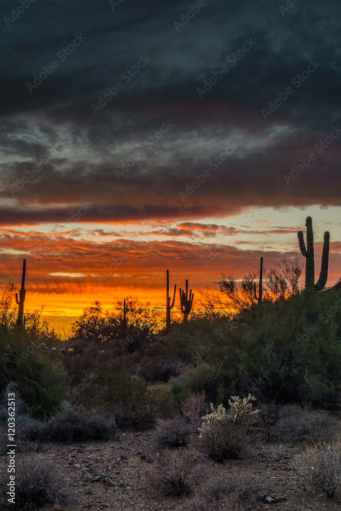 Phoenix Arizona Night Scene after Sunset
