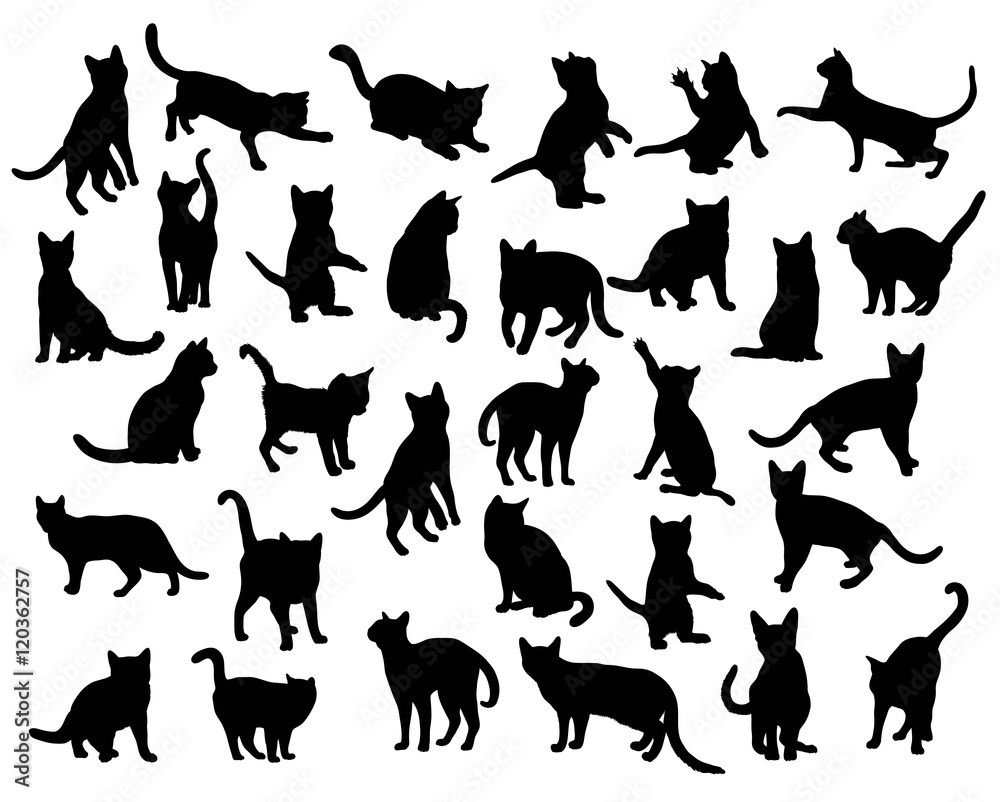 Activity Cat Silhouettes, art vector design