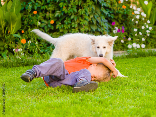 Photography White Swiss Shepherd`s puppy and kid playing together on green g