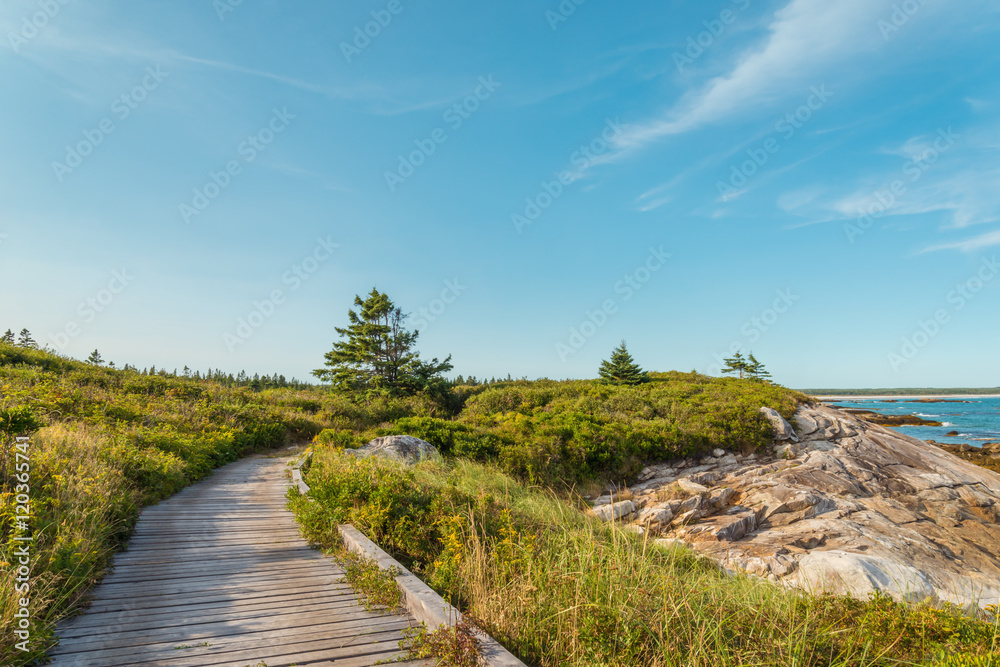 Boardwalk at Keji Seaside trail Boardwalk at Keji Seaside trail