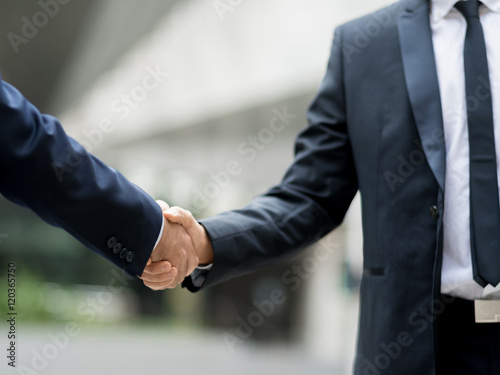Two businessmen shaking their hands © Sergey Nivens