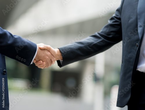 Two businessmen shaking their hands © Sergey Nivens