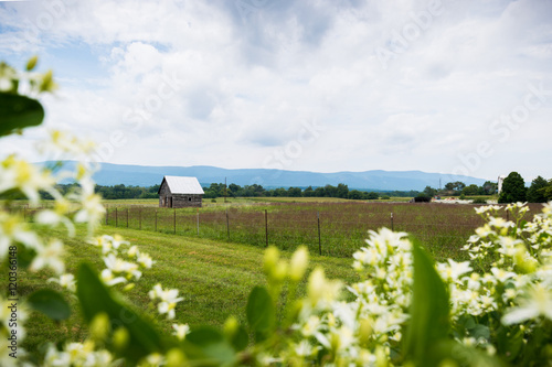 Scenic Landscape of Elkton, Virginia around Shenandoah National photo