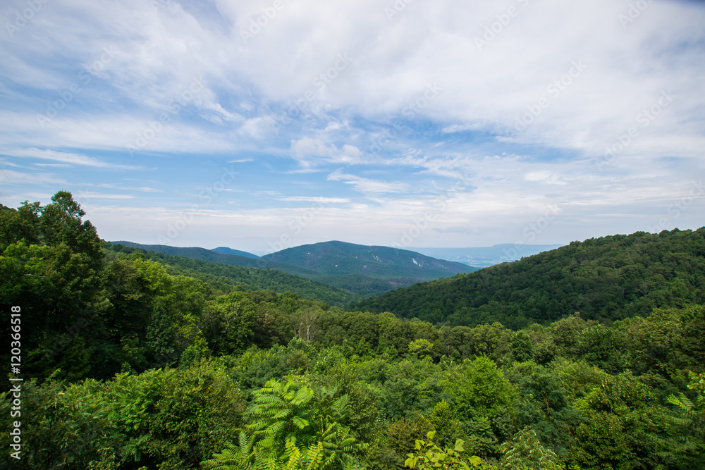 Scenic Summer Landscape on Overlook Drive Shenandoah National Pa Scenic Summer Landscape on Overlook Drive Shenandoah National Pa