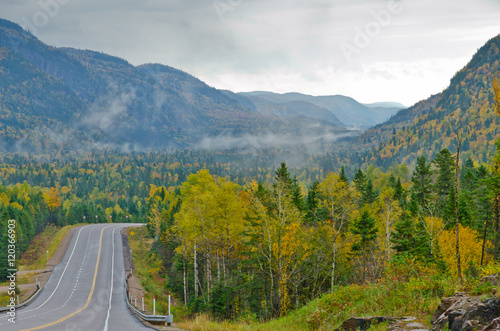 Autumn road