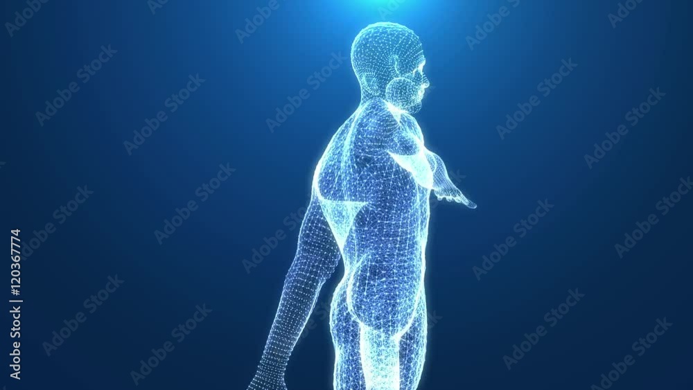 Human body wired. Male shape outline rotating. Seamless loop.
