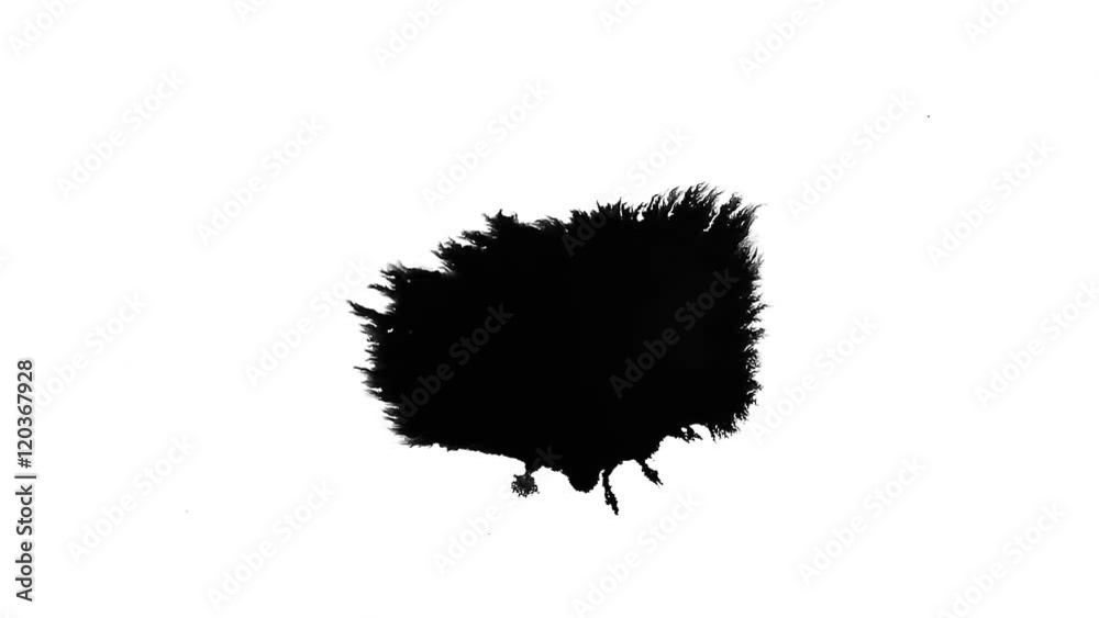 Ink drops on white paper Ink drops on white paper