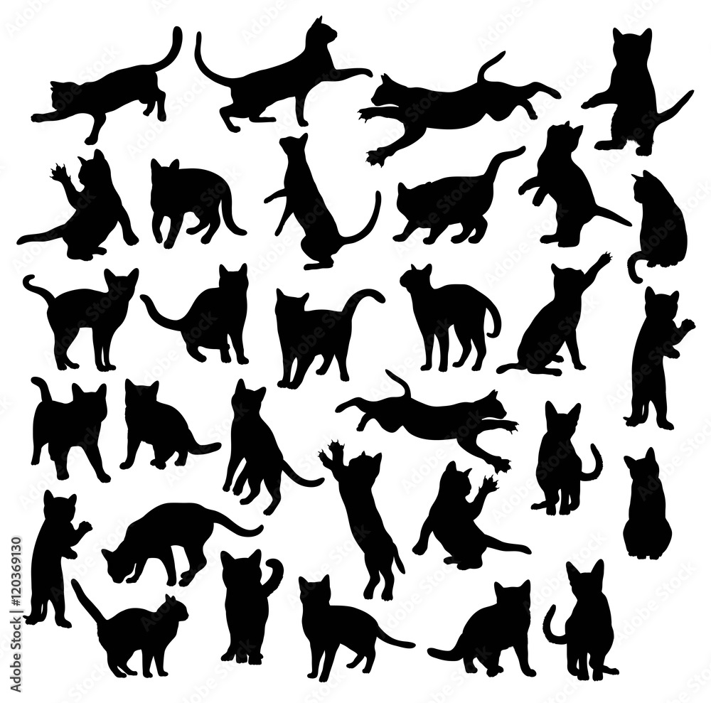 Cat Animal Silhouettes, art vector design
