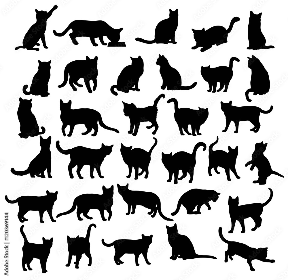 Modern Cat Silhouettes, art vector design