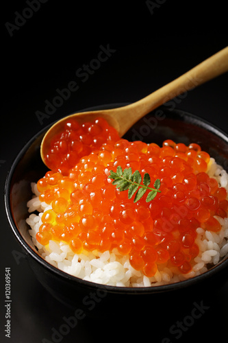 いくらの醤油漬け　Salmon roe