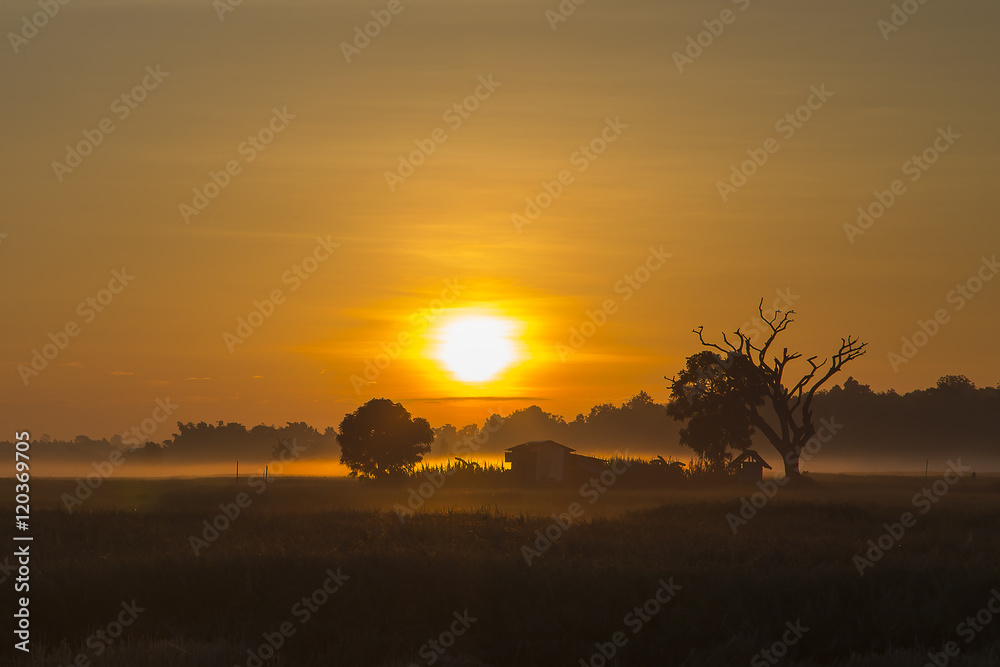 The warm morning sunshine farmhouse. The warm morning sunshine farmhouse.