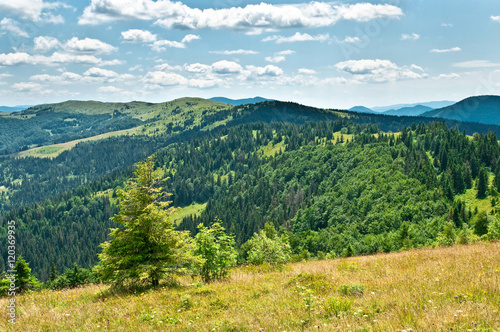 Fototapeta Naklejka Na Ścianę i Meble -  Summer landscape in mountains