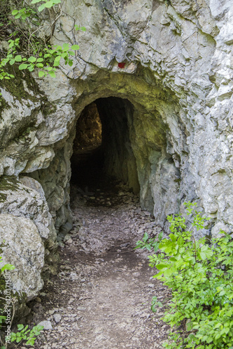 Fototapeta Naklejka Na Ścianę i Meble -  Small cave