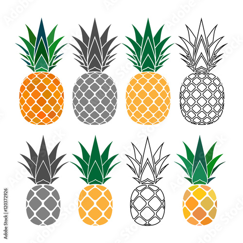 Pineapple with leaf icons set. Tropical fruits isolated on white background. Symbol of food, sweet, exotic summer, vitamin, healthy. Nature logo. Flat concept. Design element Vector illustration