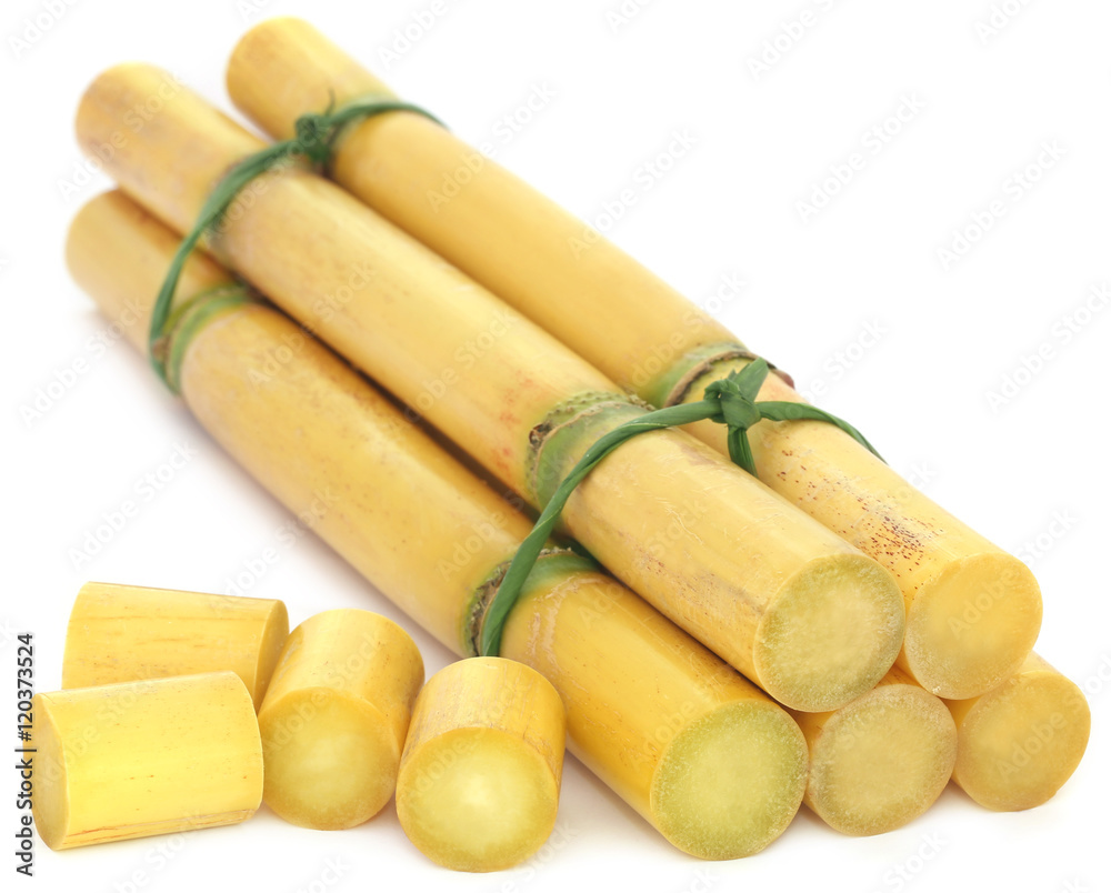 Pieces of sugarcane Pieces of sugarcane