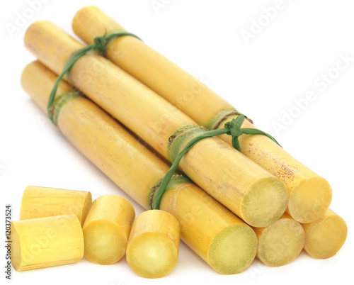 Pieces of sugarcane