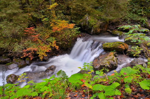 Bach im Wald mit Herbstlaub