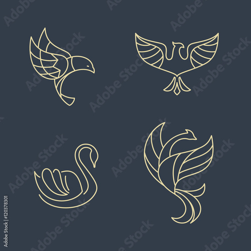 Line art logo birds. Outline style