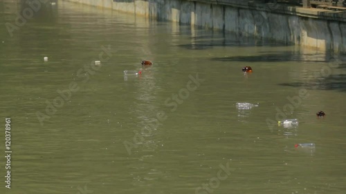Plastic Bottles Floating In City River
