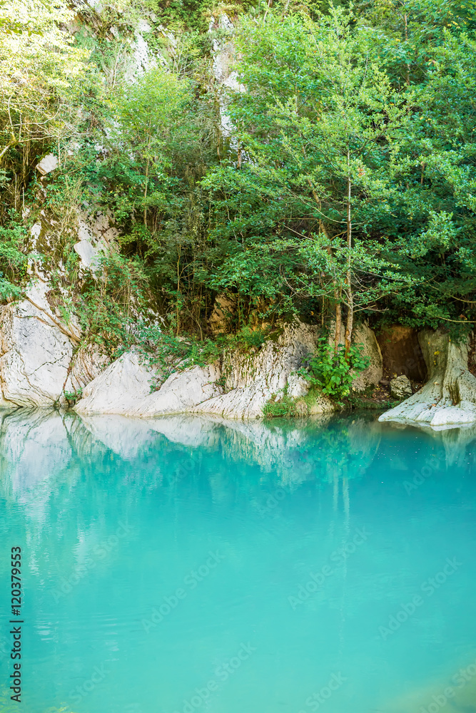 Naklejka premium Mountain lake and forest