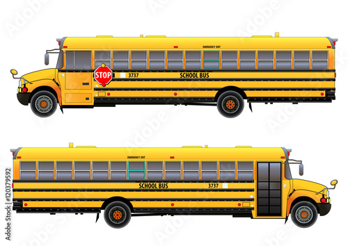 School bus, vector illustration. Isolated on white