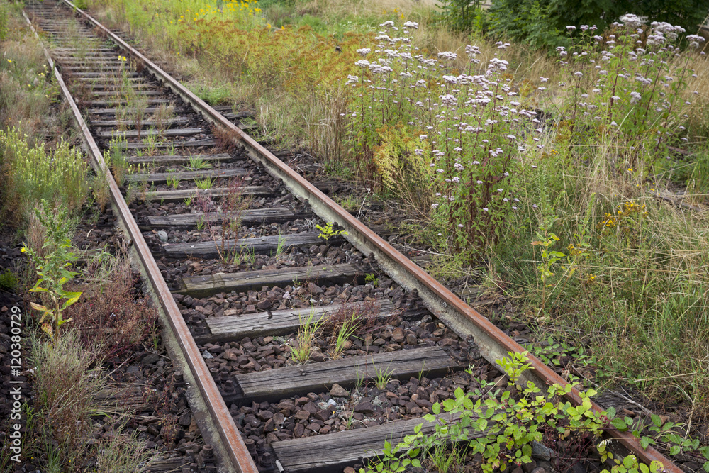Stillgelegtes Eisenbahngleis, Baden-Württemberg, Deutschland, Europa,