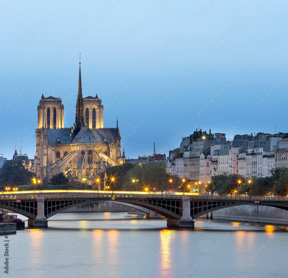 church Notre Dame de paris at night, Paris, France