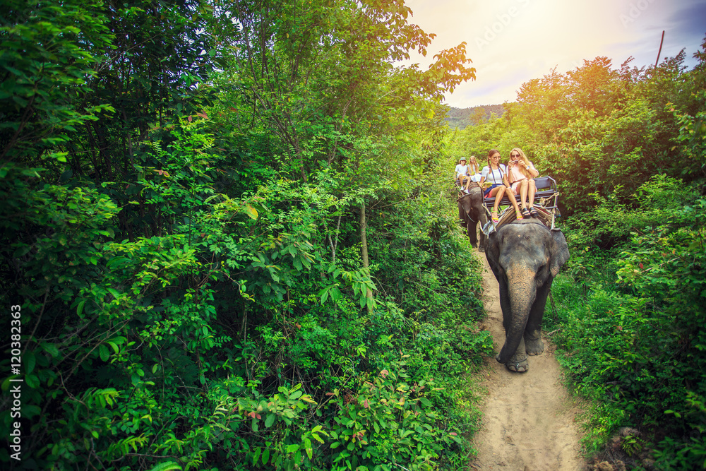 Obraz premium group of tourists riding elephants in thailand