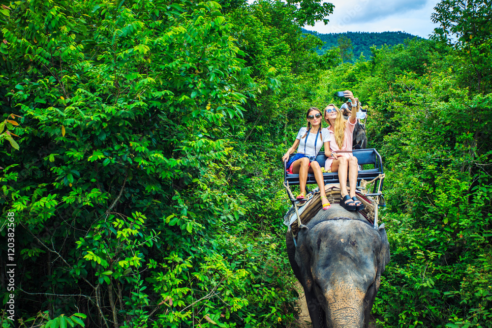 Naklejka premium group of tourists in thailand riding elephants through jungle