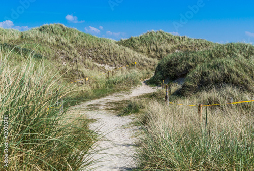 Dünenlandschaft an der Nordsee